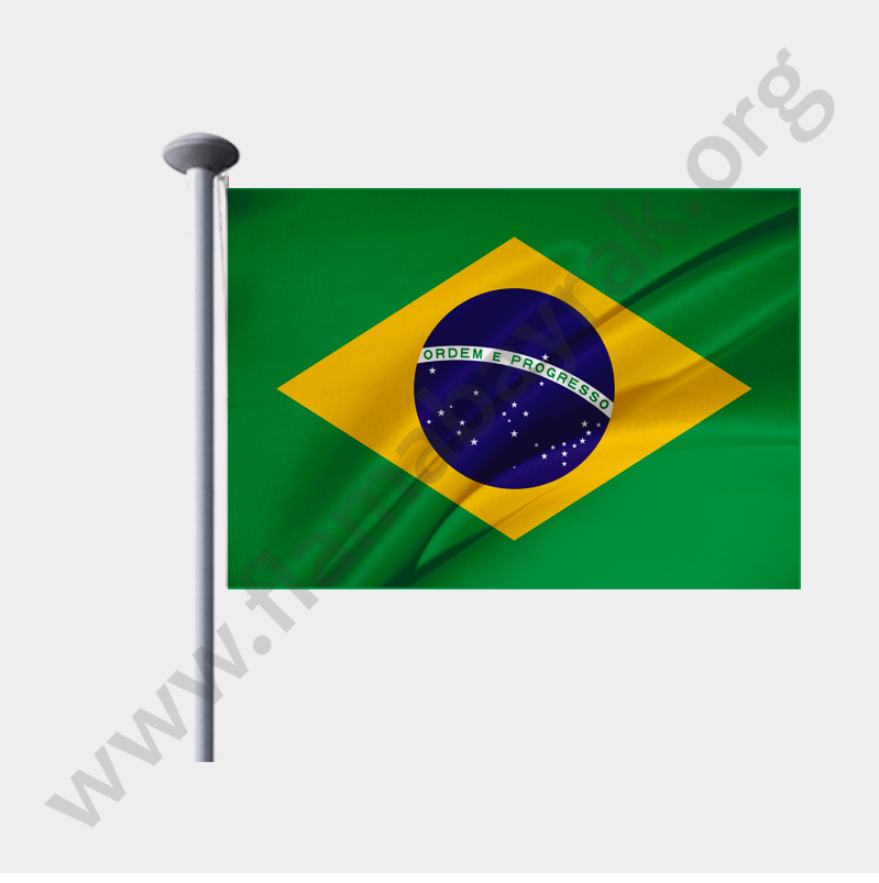 Brezilya Devleti Gönder Bayrağı